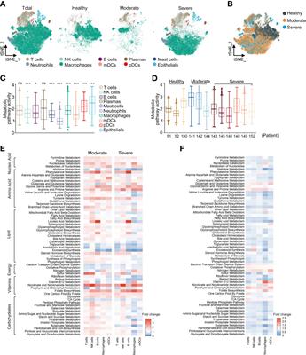 Metabolic Landscape of Bronchoalveolar Lavage Fluid in Coronavirus Disease 2019 at Single Cell Resolution